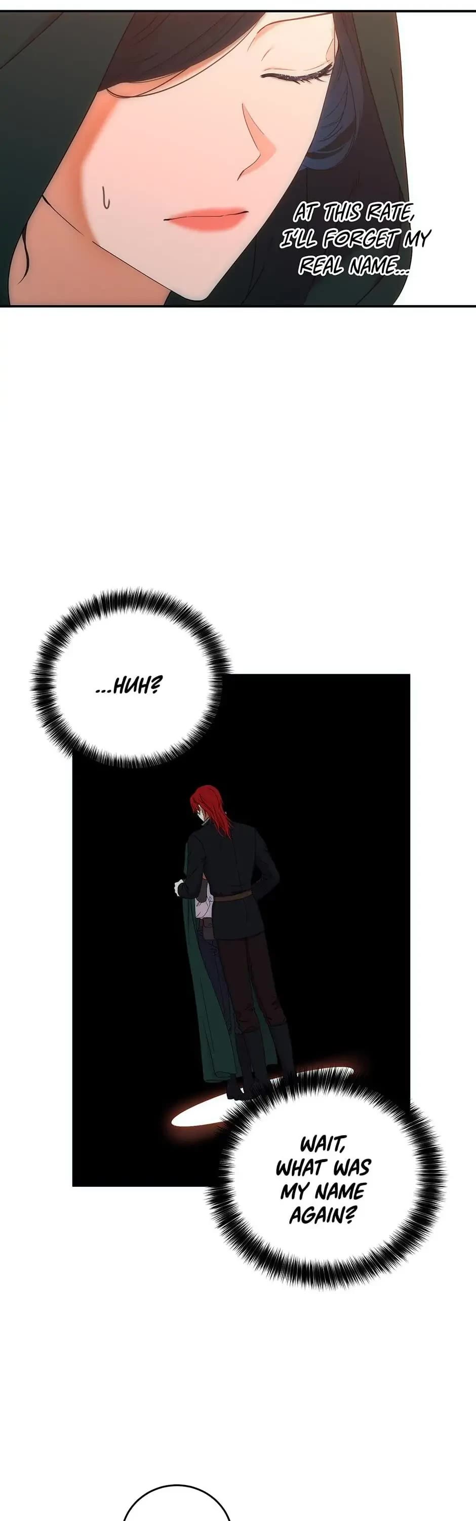 It Looks Like I’ve Fallen into the World of a Reverse Harem Game chapter 56 page 17