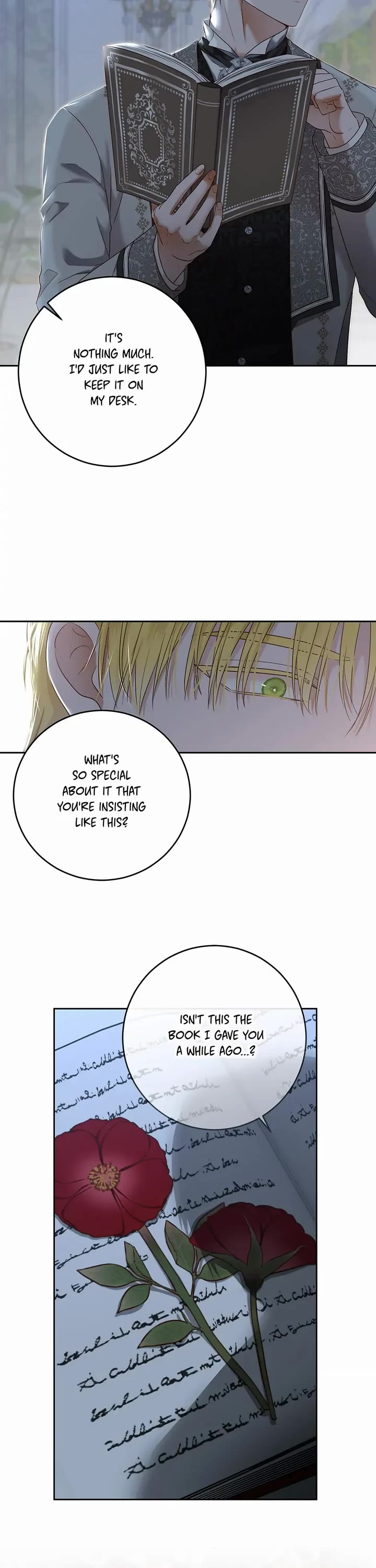 It Looks Like I’ve Fallen into the World of a Reverse Harem Game chapter 97 page 27