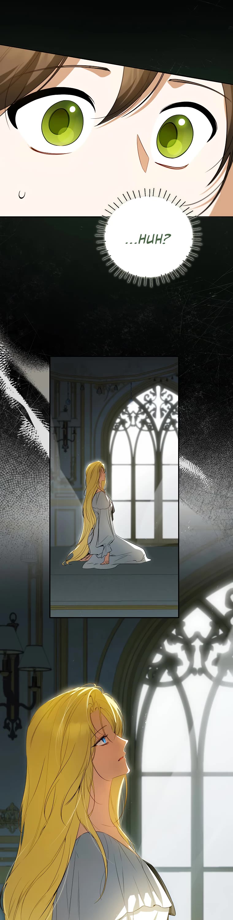 It Seems I've Transmigrated Somewhere chapter 45 page 14