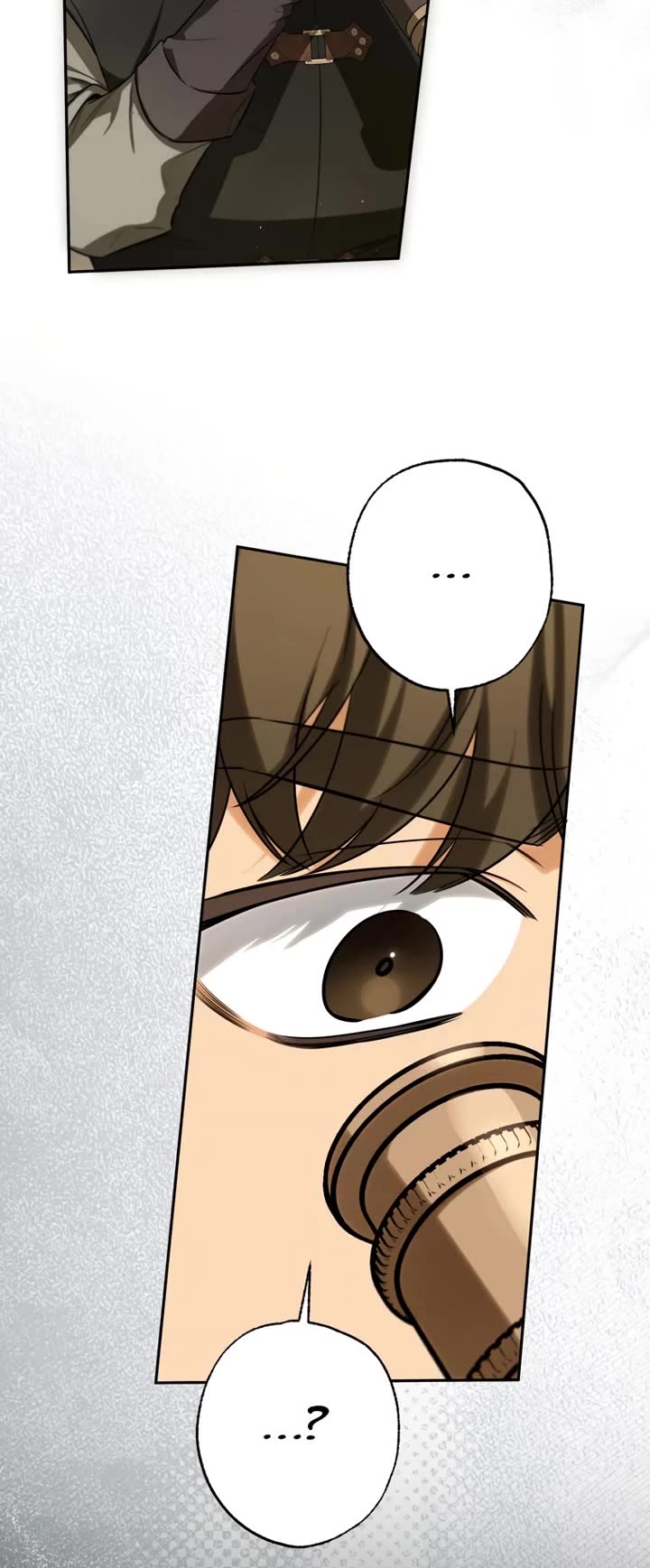 It Seems I've Transmigrated Somewhere chapter 85 page 11