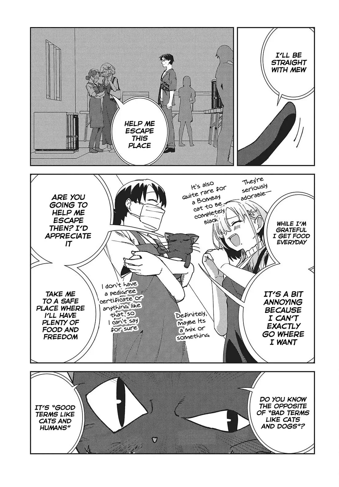 It's So Sweet When I Marry My Organization's Nemesis chapter 6 page 16