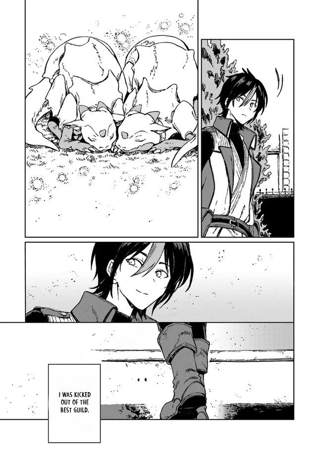 I've Been Kicked Out of an S-Rank Guild. But Only I Can Communicate With Dragons. Before I Knew It, I Became the Greatest Dragon Knight chapter 1 page 41