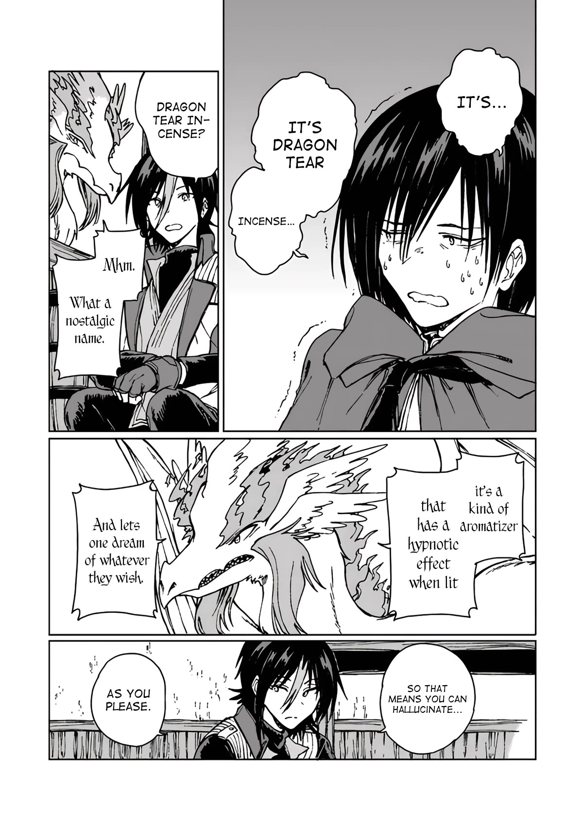 I've Been Kicked Out of an S-Rank Guild. But Only I Can Communicate With Dragons. Before I Knew It, I Became the Greatest Dragon Knight chapter 14 page 11