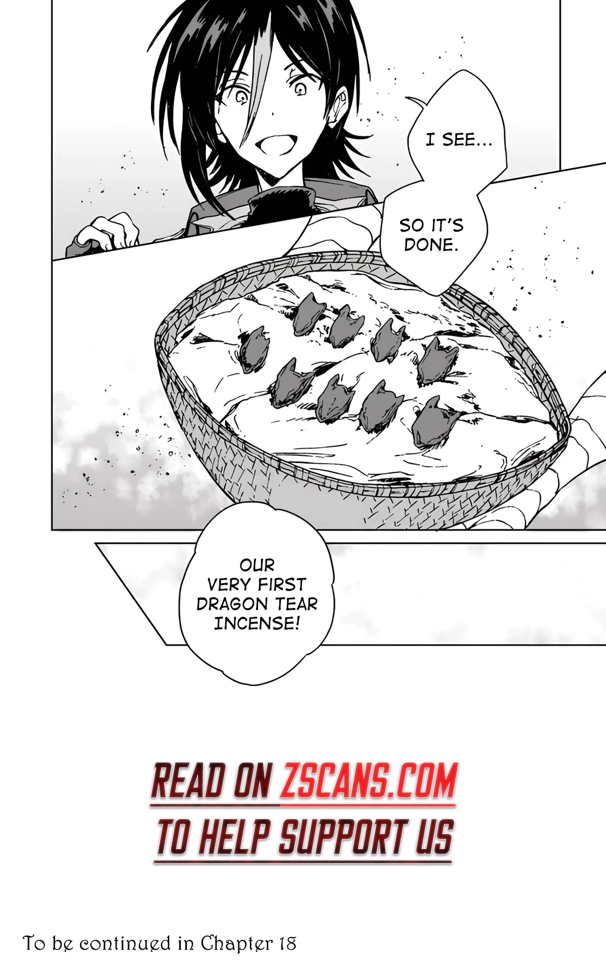 I've Been Kicked Out of an S-Rank Guild. But Only I Can Communicate With Dragons. Before I Knew It, I Became the Greatest Dragon Knight chapter 17 page 28