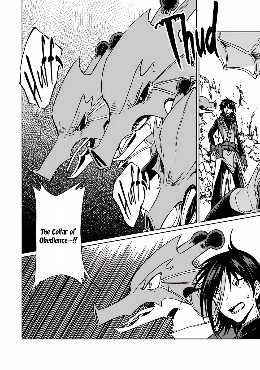 I've Been Kicked Out of an S-Rank Guild. But Only I Can Communicate With Dragons. Before I Knew It, I Became the Greatest Dragon Knight chapter 20 page 17