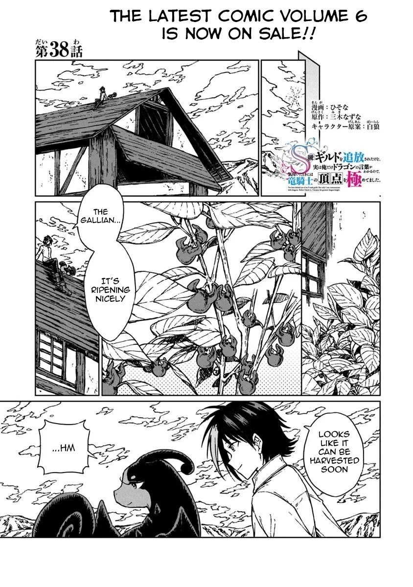 I've Been Kicked Out of an S-Rank Guild. But Only I Can Communicate With Dragons. Before I Knew It, I Became the Greatest Dragon Knight chapter 38 page 2