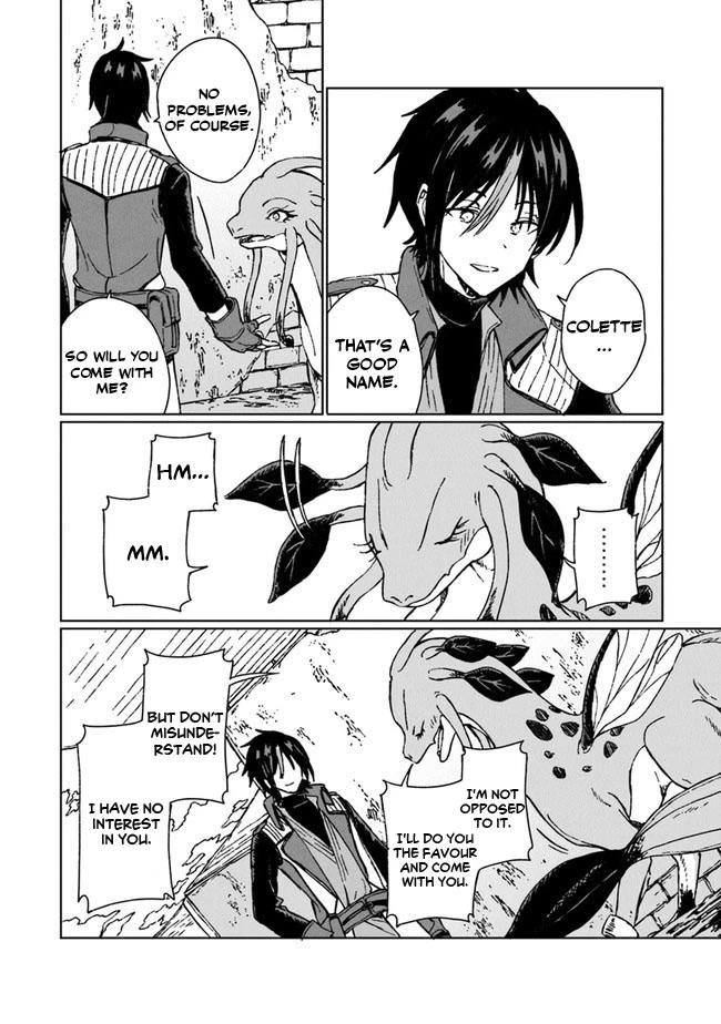 I've Been Kicked Out of an S-Rank Guild. But Only I Can Communicate With Dragons. Before I Knew It, I Became the Greatest Dragon Knight chapter 6 page 19