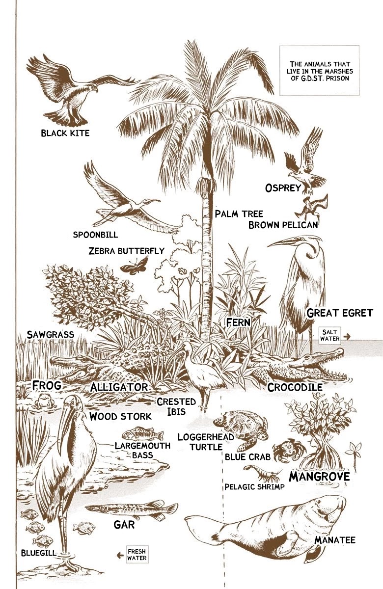 JoJo's Bizarre Adventure Part 6 - Stone Ocean (Official Colored) chapter 85 page 1