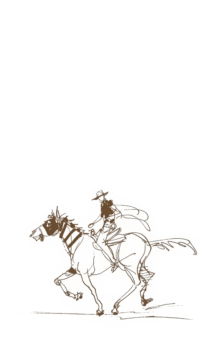 JoJo's Bizarre Adventure Part 7 - Steel Ball Run (Official Colored) chapter 7 page 1