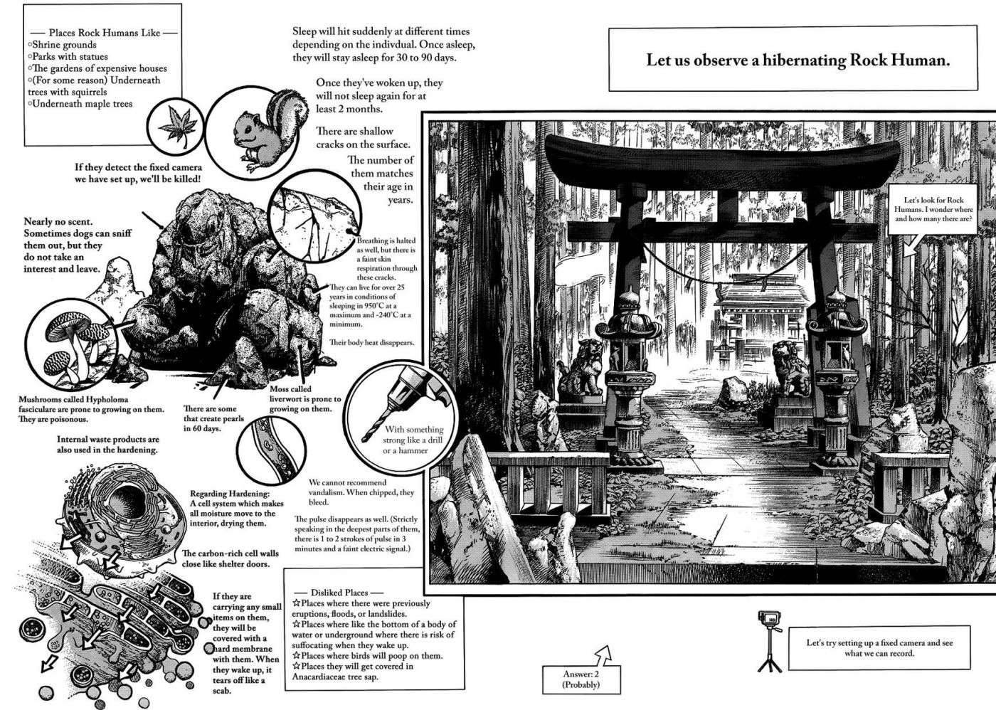 Jojos Bizarre Adventure Part 8 Jojolion chapter 46 page 1