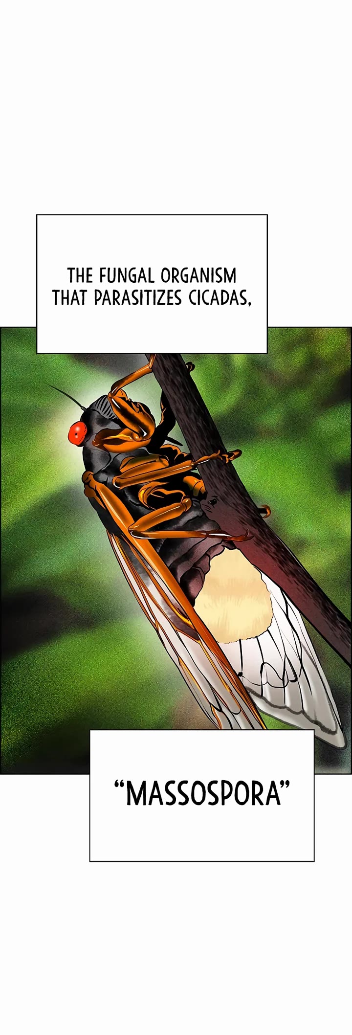 Jungle Juice chapter 169 page 24