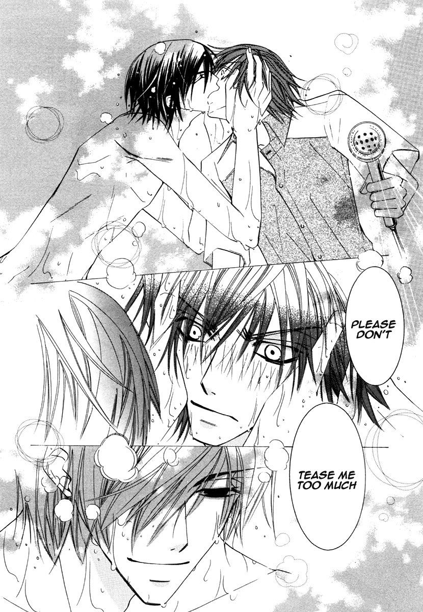 Junjou Romantica chapter 20.5 page 8