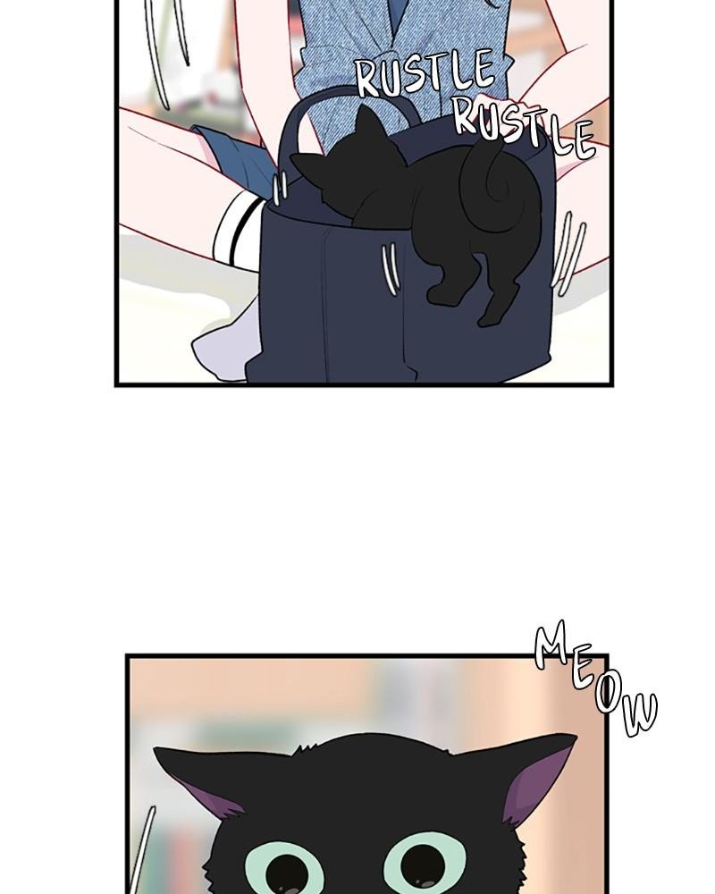 Just a Girl He Knows chapter 52 page 6