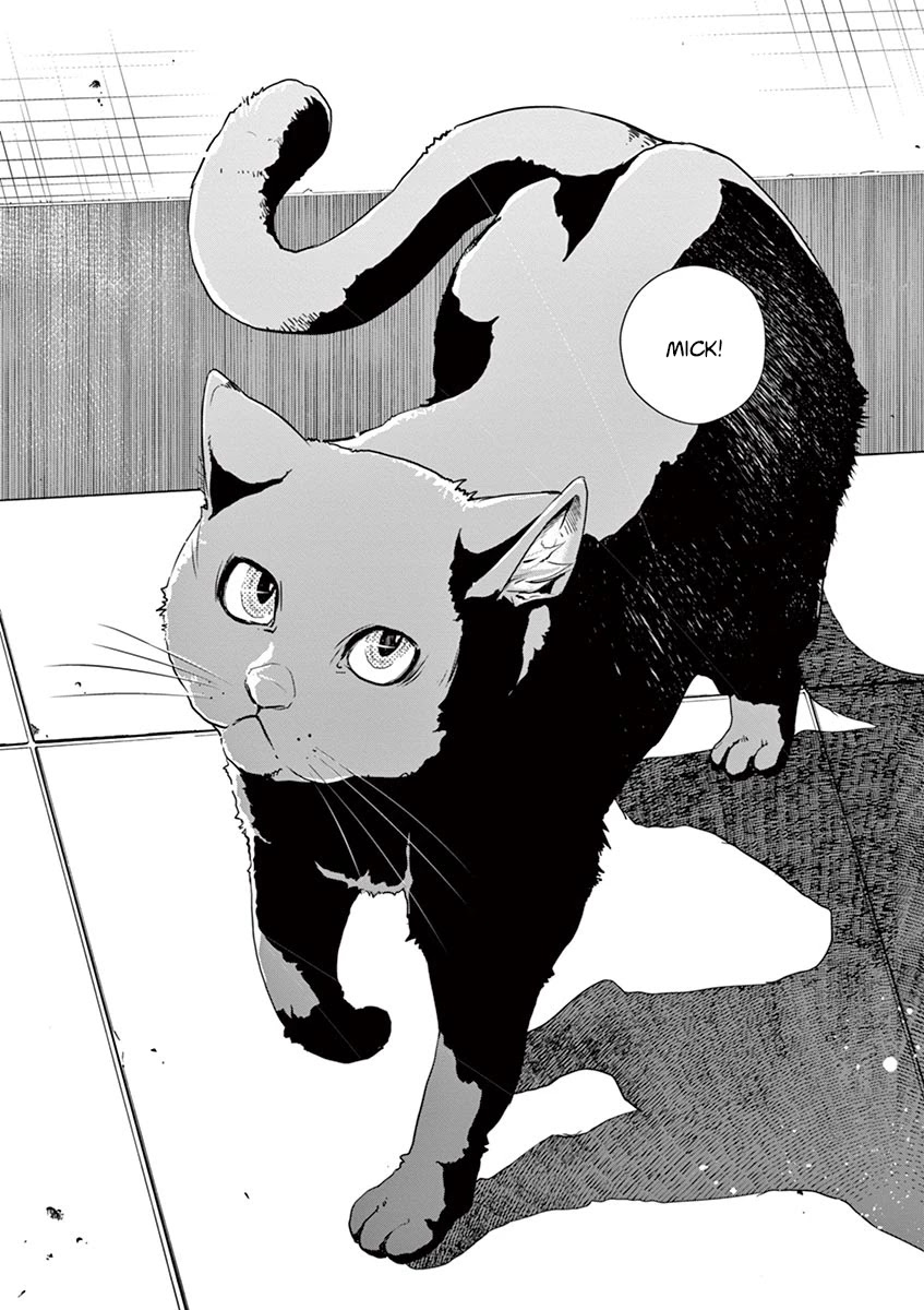 Kamen Rider W: Fuuto Tantei chapter 16 page 20