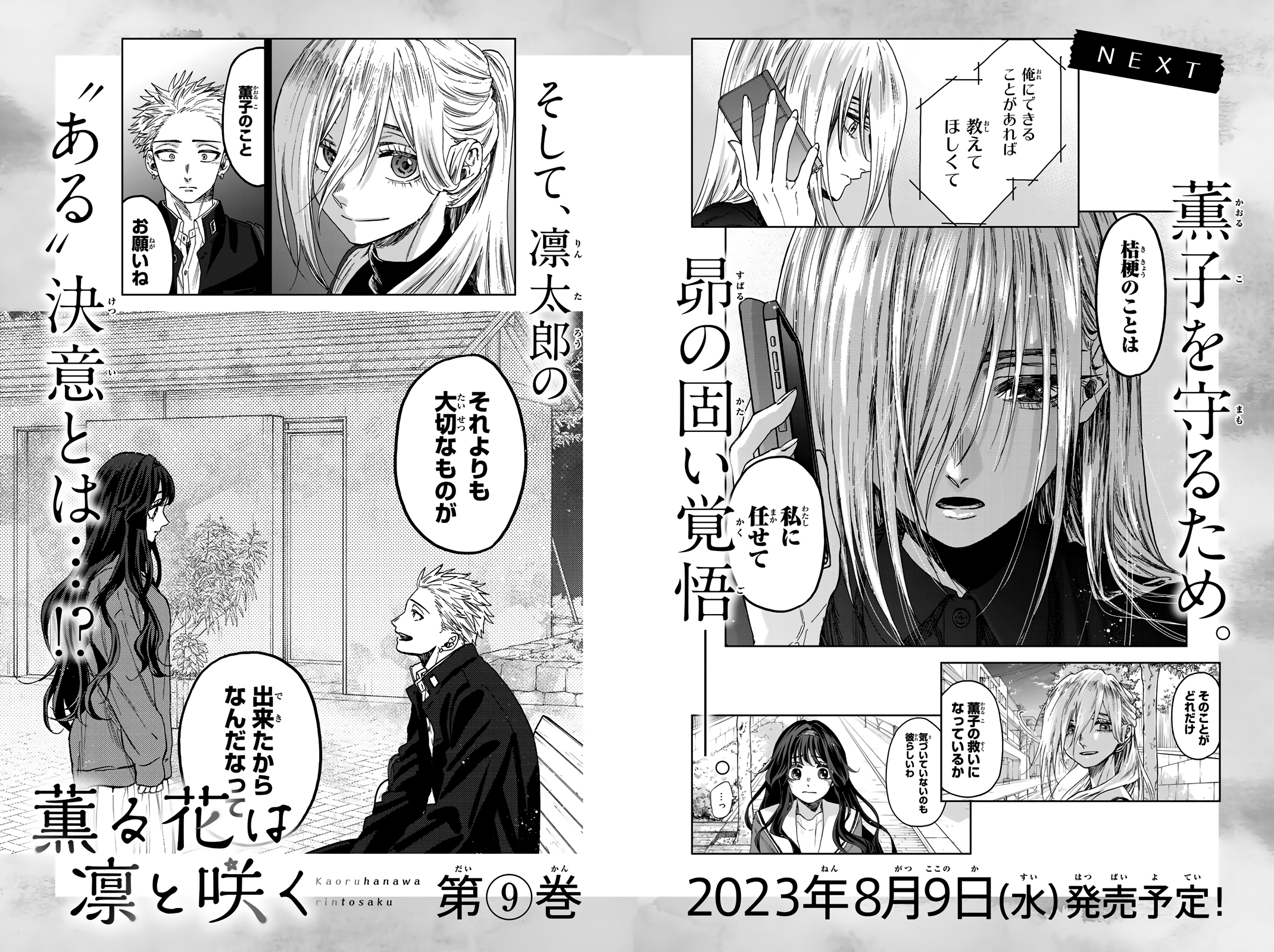 Kaoru Hana wa Rin to Saku chapter 56.5 page 17