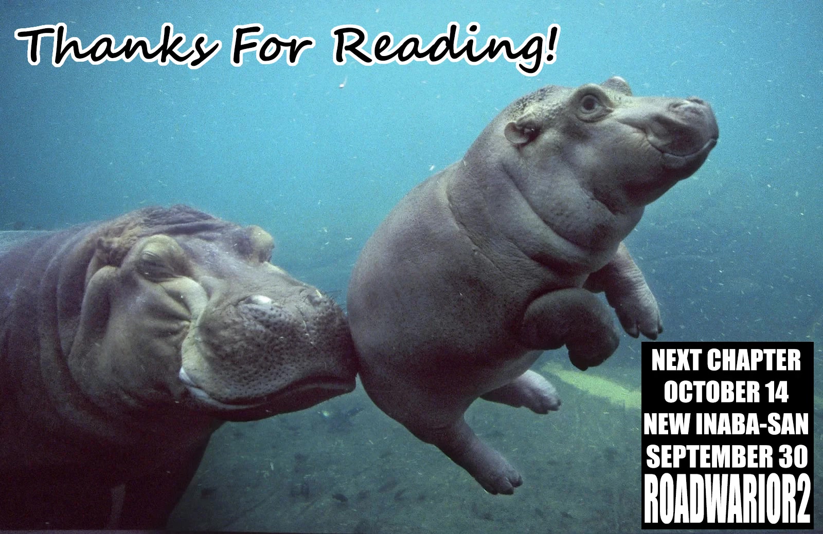 Killing Bites chapter 102 page 35