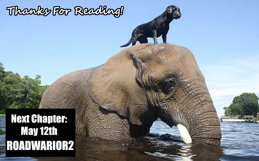 Killing Bites chapter 109 page 26