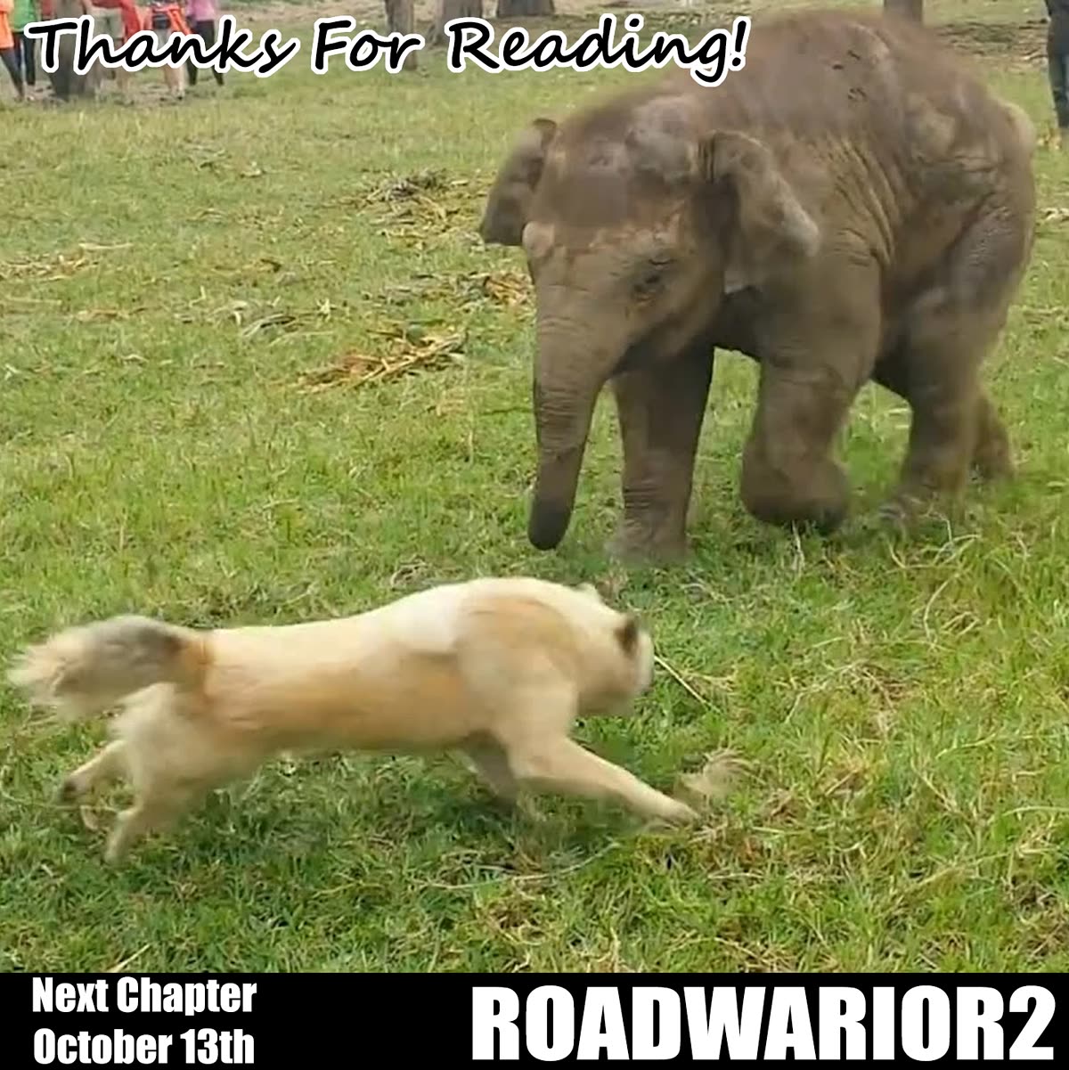 Killing Bites chapter 114 page 26