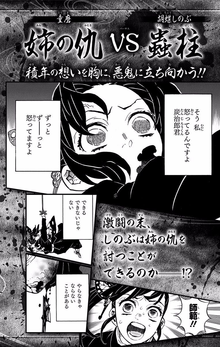 Kimetsu no Yaiba chapter 142.5 page 14
