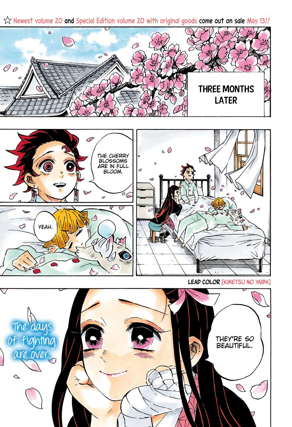 Kimetsu no Yaiba chapter 204 page 3