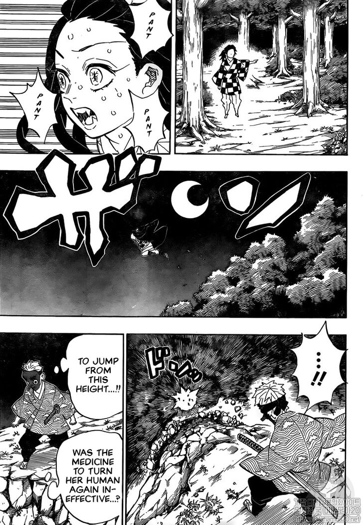 Kimetsu no Yaiba chapter 185.1 page 6