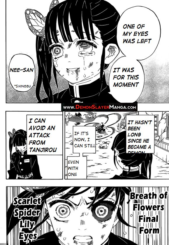 Kimetsu no Yaiba chapter 202 page 15