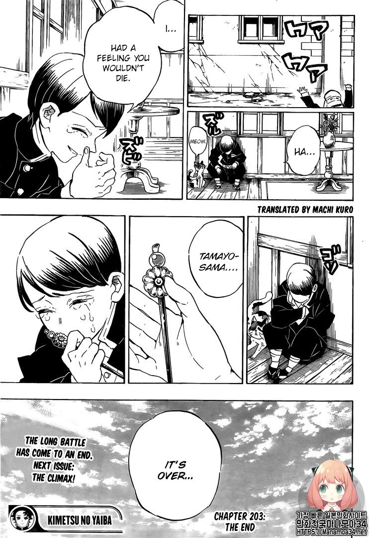 Kimetsu no Yaiba chapter 203 page 17