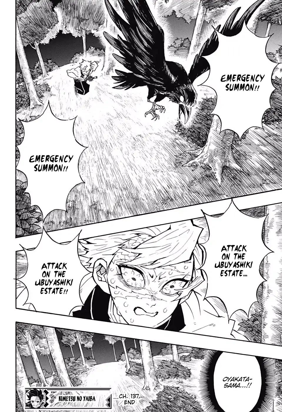 Kimetsu no Yaiba chapter 137 page 17