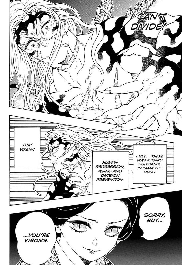 Kimetsu no Yaiba chapter 196 page 17