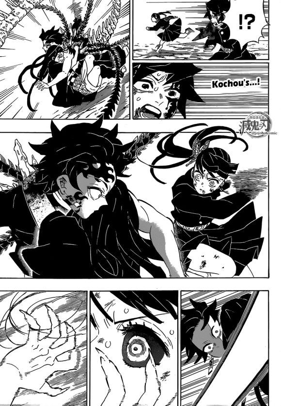 Kimetsu no Yaiba chapter 202 page 17
