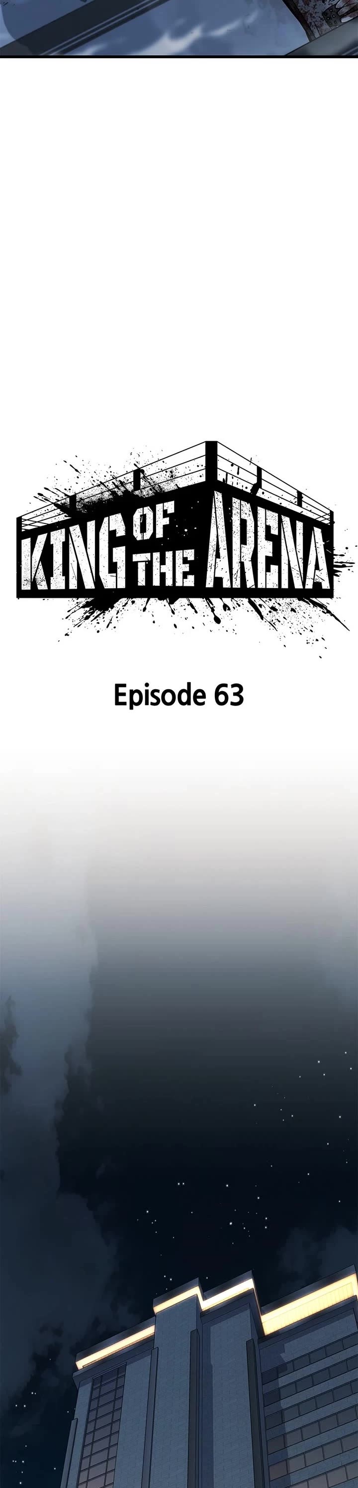 King of Violence chapter 63 page 14