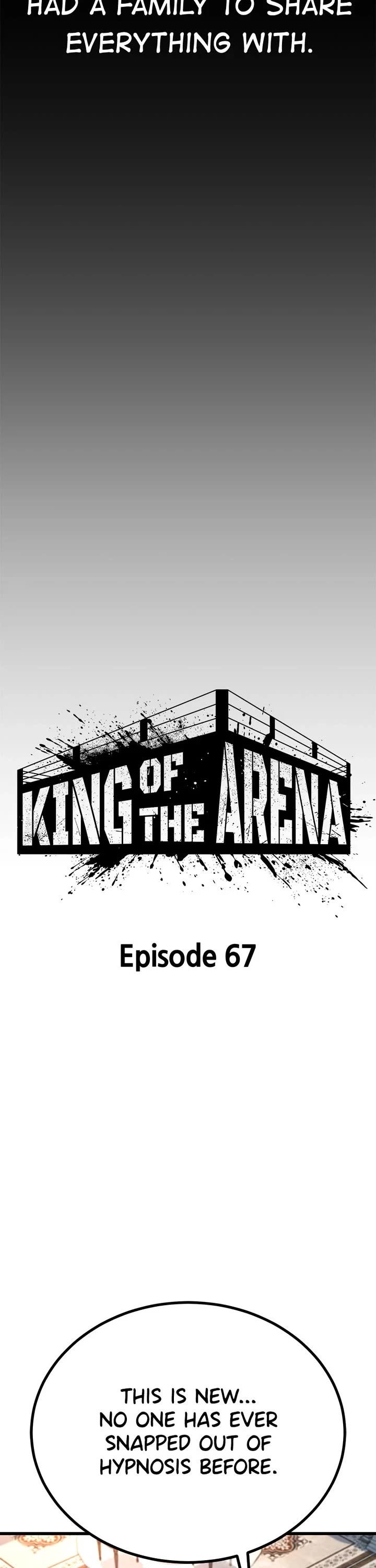 King of Violence chapter 67 page 22