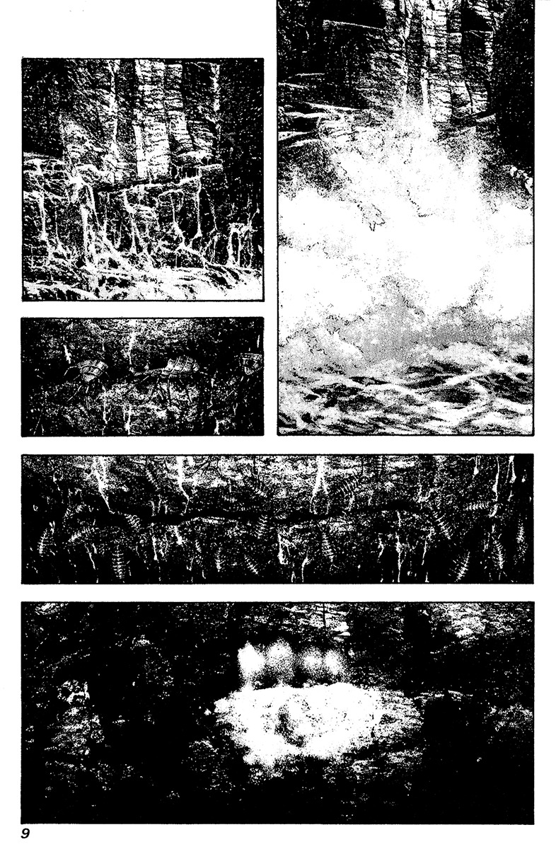 Kokou no Hito chapter 103 page 12