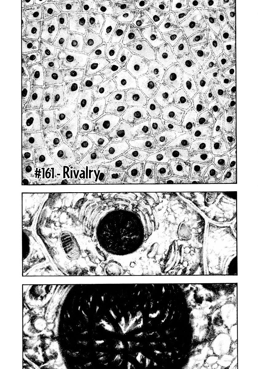 Kokou no Hito chapter 161 page 1