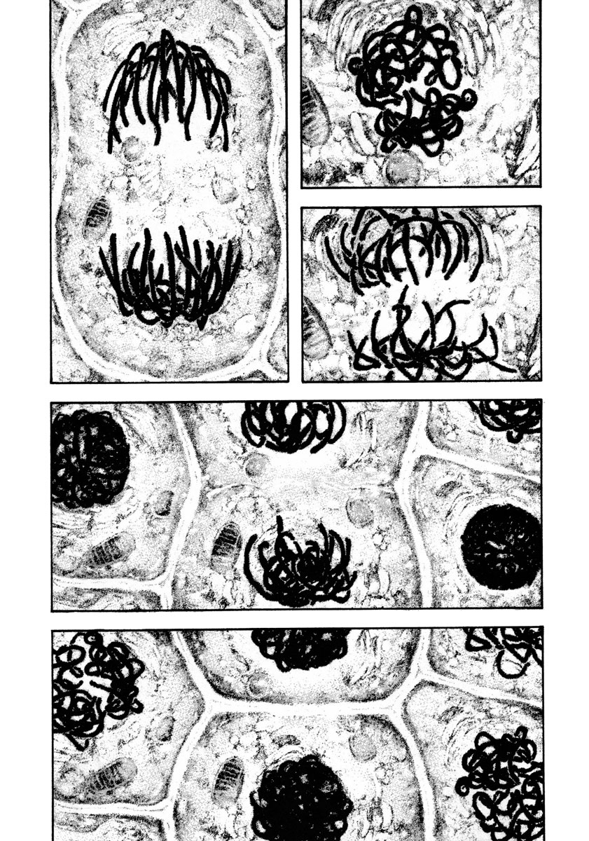 Kokou no Hito chapter 161 page 5