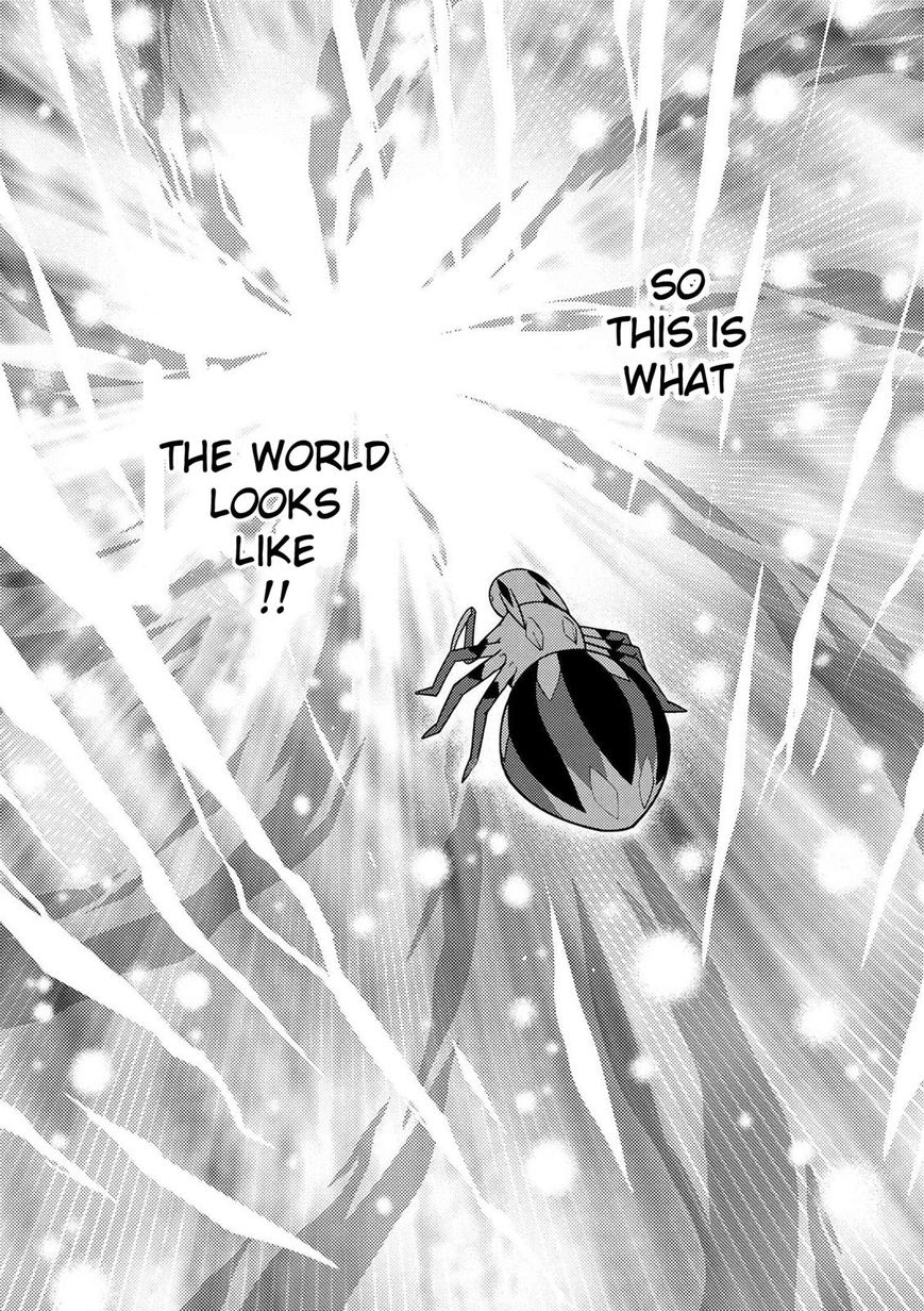 Kumo desu ga, nani ka? I'm a spider, so what? chapter 19.2 page 2