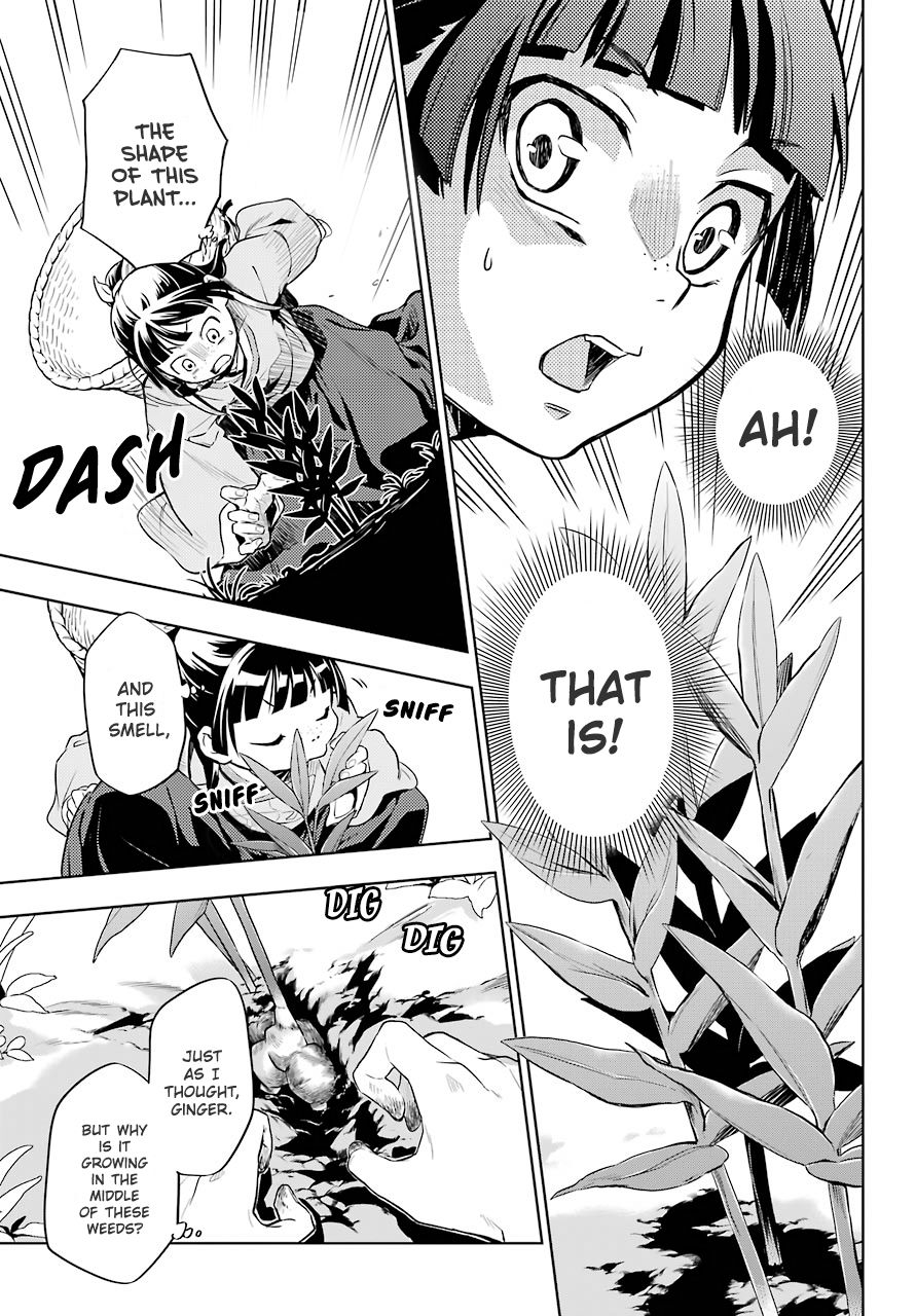 Kusuriya no Hitorigoto chapter 30 page 17