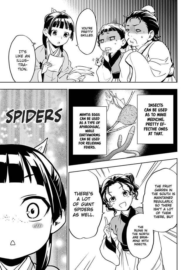 Kusuriya no Hitorigoto chapter 43.1 page 21