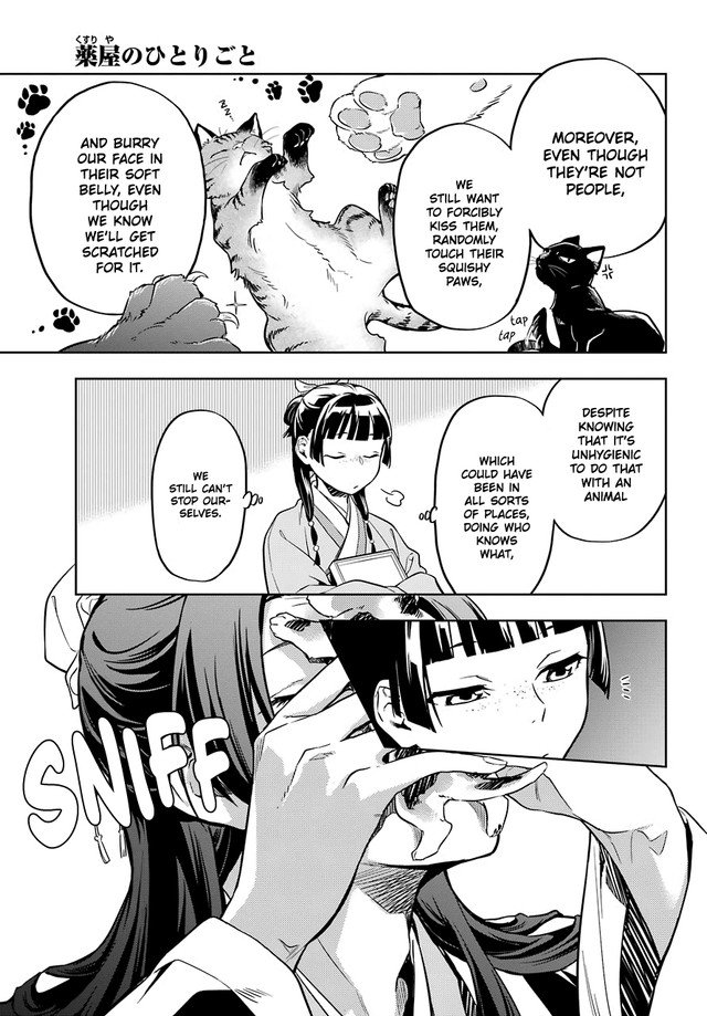 Kusuriya no Hitorigoto chapter 43 page 12