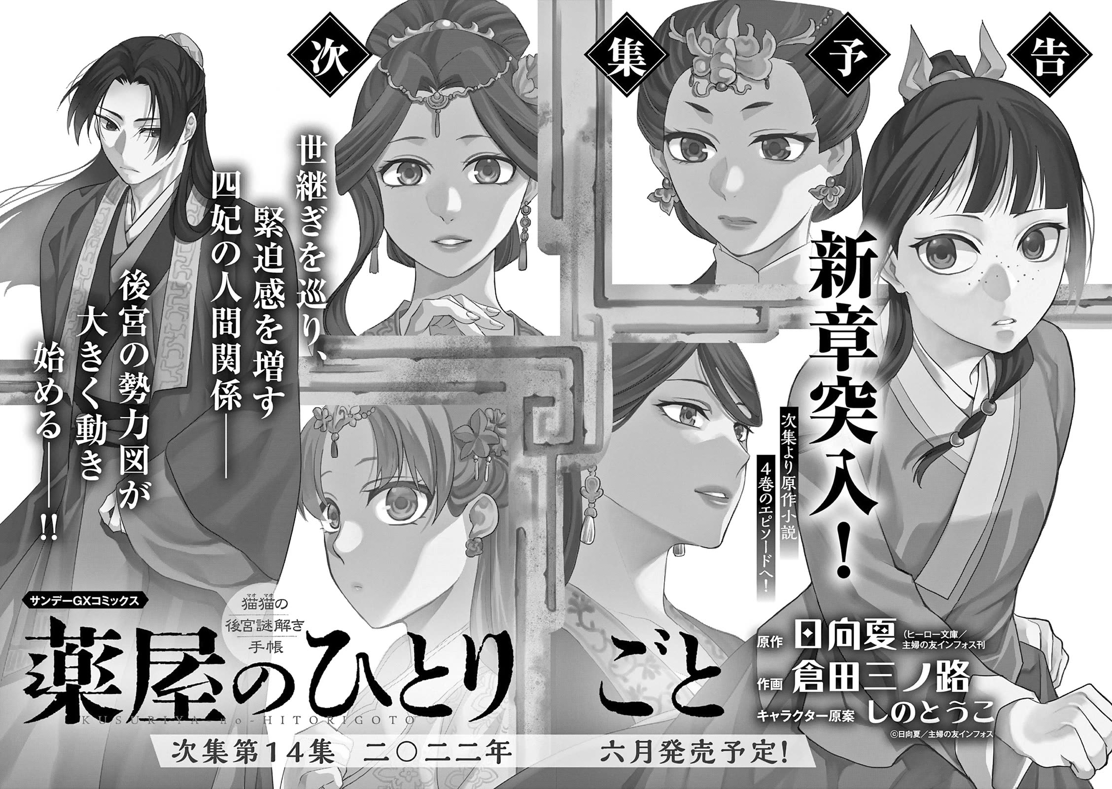 Kusuriya no Hitorigoto ~Maomao no Koukyuu Nazotoki Techou~ chapter 53.5 page 3