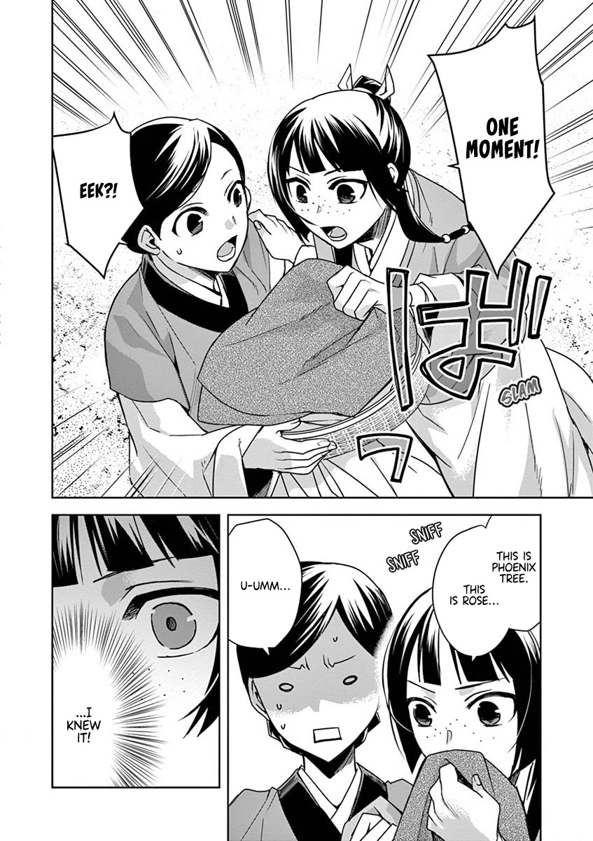 Kusuriya no Hitorigoto - Maomao no Koukyuu Nazotoki Techou chapter 33 page 12