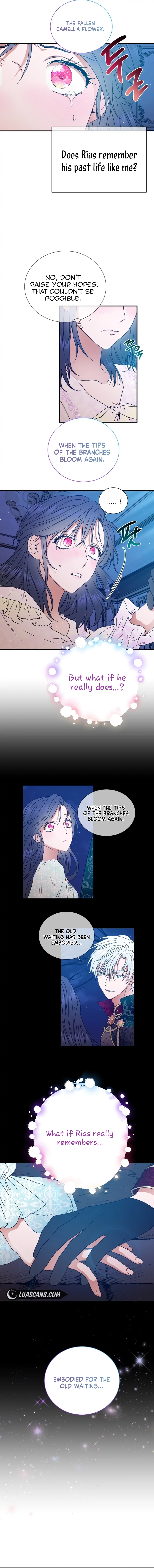 Lady Baby chapter 199 page 6