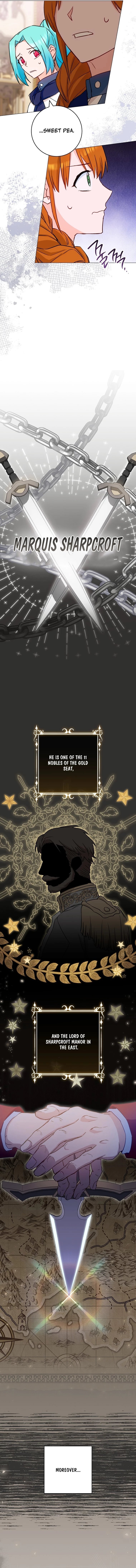 Lady Chef Royale chapter 142 page 13