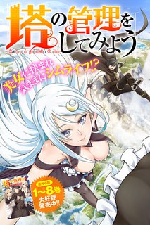 Cover of Let's Manage The Tower