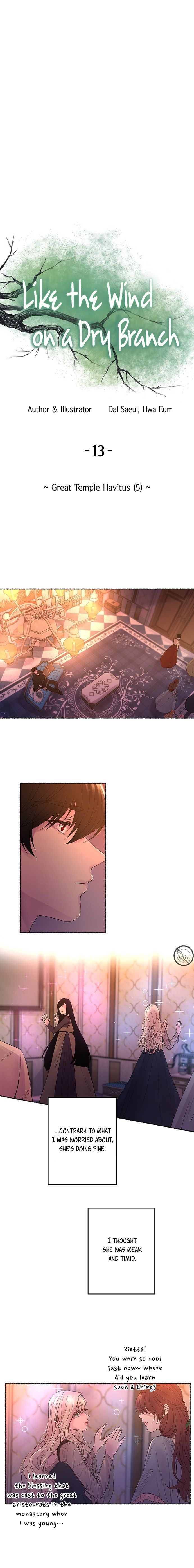 Like Wind on a Dry Branch chapter 13 page 7