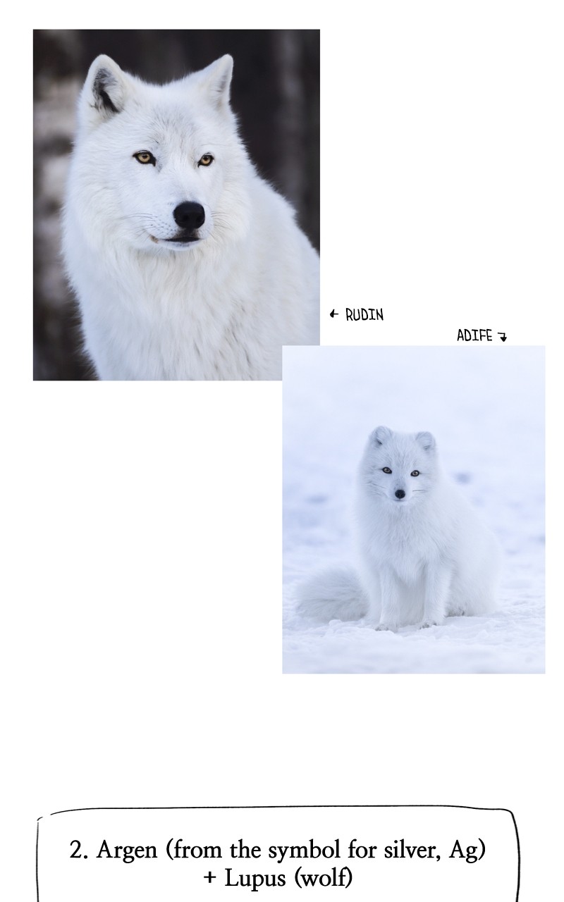 Like Wind on a Dry Branch chapter 133.1 page 11