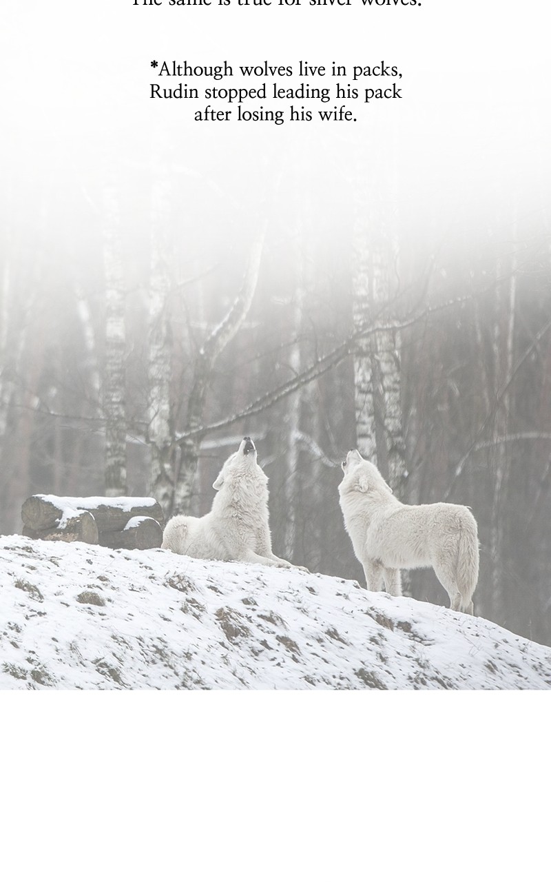 Like Wind on a Dry Branch chapter 133.1 page 15