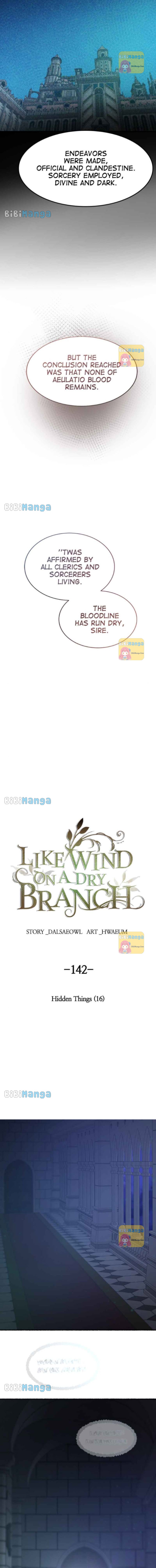 Like Wind on a Dry Branch chapter 142 page 7