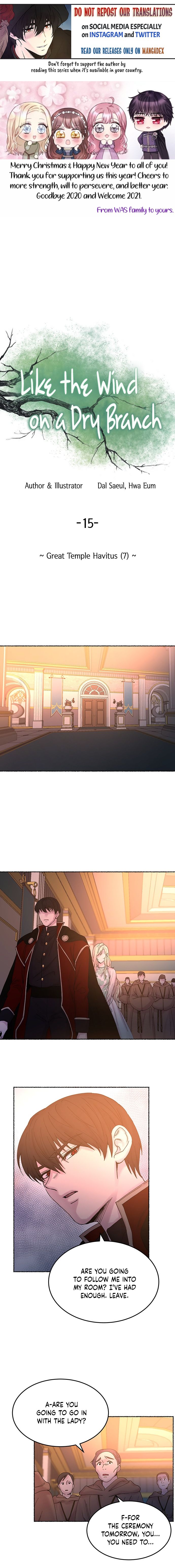 Like Wind on a Dry Branch chapter 15 page 1