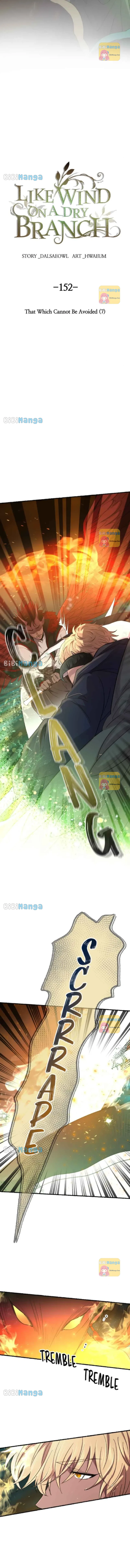 Like Wind on a Dry Branch chapter 152 page 10